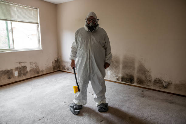 Best Toxic Mold Removal  in Worthington, OH
