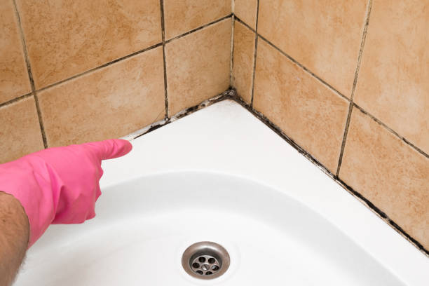 Best Water Damage Restoration  in Worthington, OH